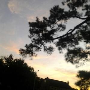 Meet your Posher, Tommy